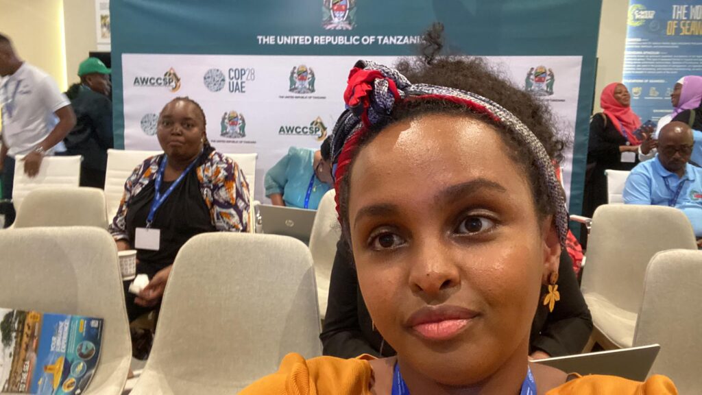 cop28 dubai tanzanian pavillion