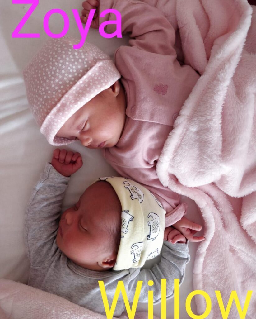 infant twin girls sleeping
